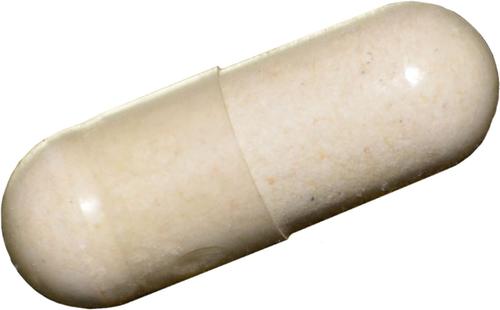 Probiotics Digestive Support Capsule Supplement for Dogs, 90 count