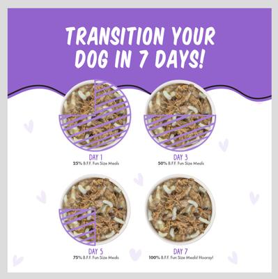 Best Fido Friend Fun Size Meals Oh So Nice Wet Dog Food, 2.75-oz cup, case of 12