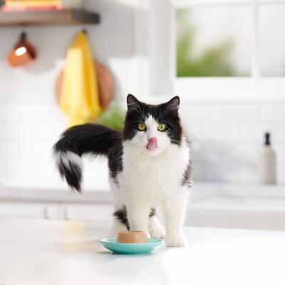 Pate in Gravy with Real Tuna & Salmon Wet Cat Food, 2.75-oz cup, case of 12