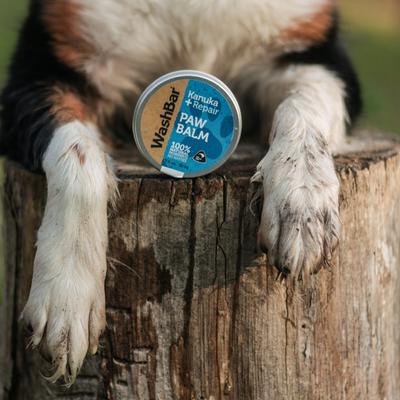 Kanuka + Repair Dog Paw Balm, 1.7-fl oz tin