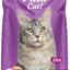 Chicken & Salmon Flavor Dry Cat Food, 16-lb bag