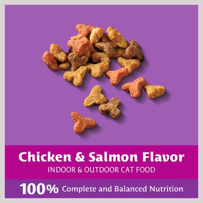 Chicken & Salmon Flavor Dry Cat Food, 16-lb bag