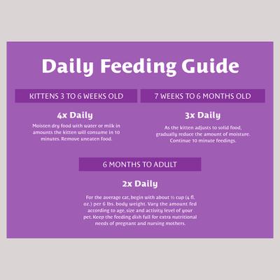 Chicken & Salmon Flavor Dry Cat Food, 16-lb bag