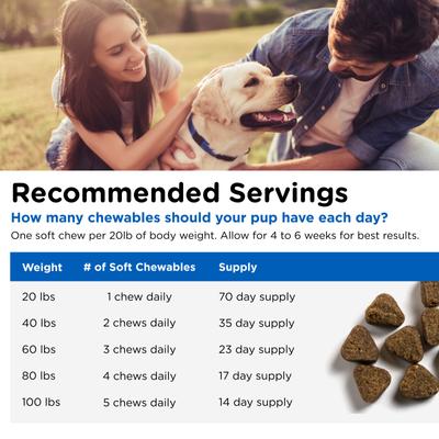 Adult-Vite Soft Chews Multivitamin for Dogs, 6-oz bag