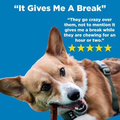 6" Angus Bully Sticks Dog Treats, 20 count