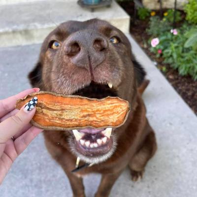 Sweet Potato Natural Jerky Dog Treats, 4-oz bag