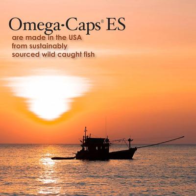 Softgel Capsules Extra Strength for Large Dogs, 250 count