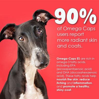 Softgel Capsules Extra Strength for Large Dogs, 250 count