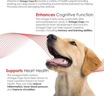 Softgel Capsules Extra Strength for Large Dogs, 250 count