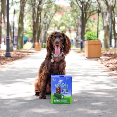 Brushless Toothpaste Medium Dental Dog Treats, 54-oz box