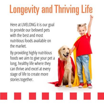 Alimento húmedo para perros con receta de salmón y batata, lata de 12.5 oz, caja de 12