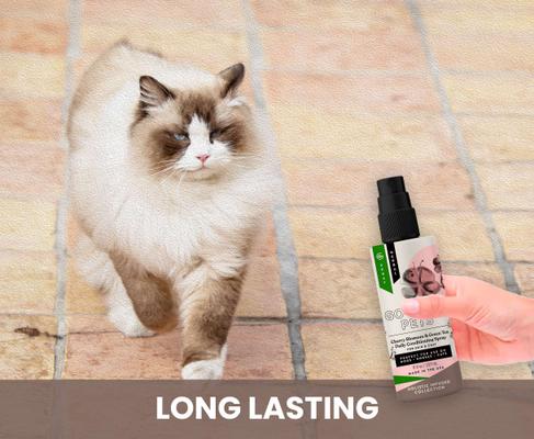 Cherry Blossom & Green Tea Leave In Conditioning Dog & Cat Spray, 8-fl oz bottle, 1