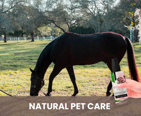 Cherry Blossom & Green Tea Leave In Conditioning Dog & Cat Spray, 8-fl oz bottle, 1