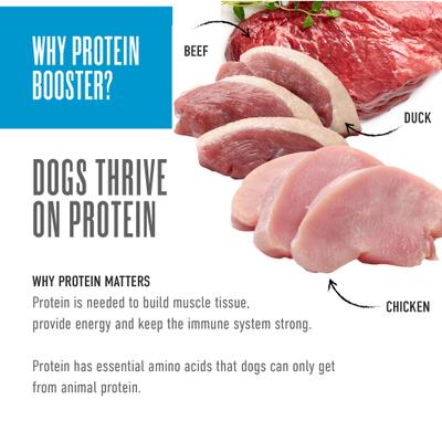 Born Carnivore Protein Booster Variety Pack Grain-Free Dog Food Topper, 2.1-oz pouch, case of 12
