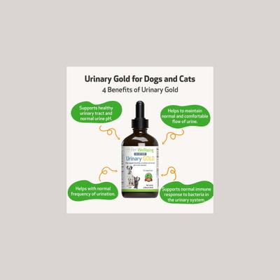 Urinary GOLD Bacon Flavored Liquid Urinary Supplement for Dogs, 2-oz bottle