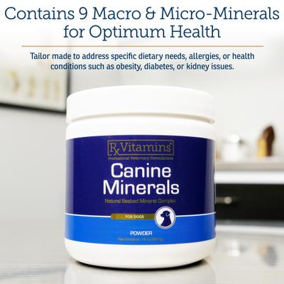 Canine Minerals Powder Supplement for Dogs, 454-g jar