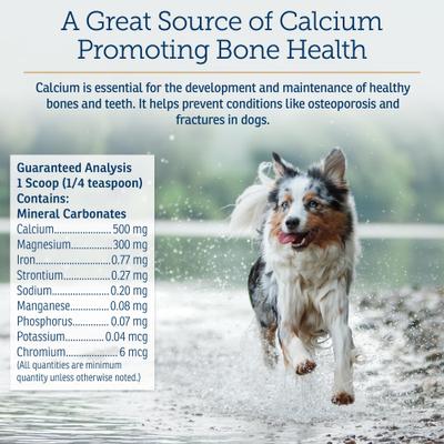 Canine Minerals Powder Supplement for Dogs, 454-g jar
