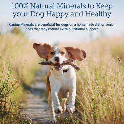 Canine Minerals Powder Supplement for Dogs, 454-g jar