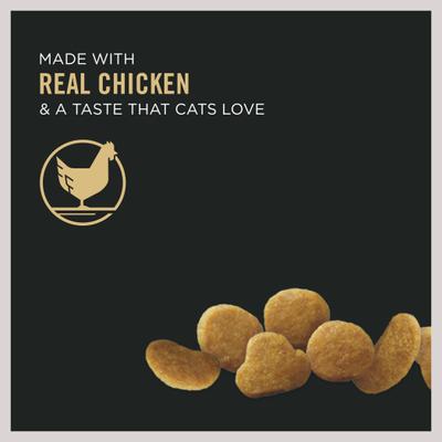 Bundle: Purina Pro Plan Focus Adult Urinary Tract Health Formula Dry Food+ Seafood Favorites Variety Pack Canned Cat Food