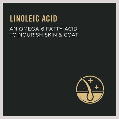 Bundle: Purina Pro Plan Focus Adult Urinary Tract Health Formula Dry Food+ Seafood Favorites Variety Pack Canned Cat Food