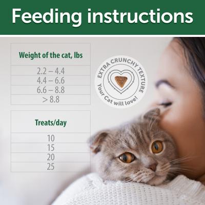 Superior Care Oral Care Poultry Dental Crunchy Cat Treats, 2.64-oz bag