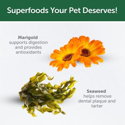 Superior Care Oral Care Poultry Dental Crunchy Cat Treats, 2.64-oz bag