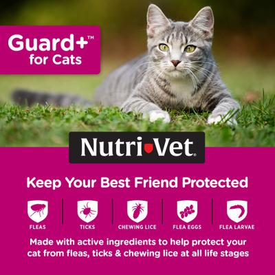 Guard Plus Flea & Tick Treatment for Cats, over 1.5 lbs, 3 doses