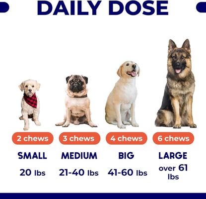 Wild Alaskan Salmon Oil Itch & Allergy Relief Skin & Coat with Omega 3 Supplement for Dogs, 180 count