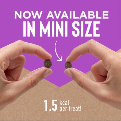 Tricky Trainers Mini with Liver Soft & Chewy Dog Treats, 5-oz bag