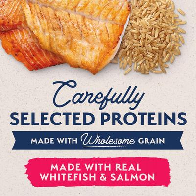 Limited Ingredient Whitefish, Rice, & Salmon Recipe Canned Dog, 13-oz can, case of 12