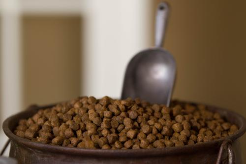 Holistic All Breed Dry Dog Food, 4-lb bag