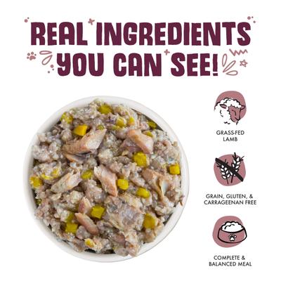 Hot Dayam! with Luscious Lamb in Gelee Grain-Free Canned Dog Food, 14-oz, case of 12