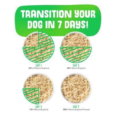 Hot Dayam! with Luscious Lamb in Gelee Grain-Free Canned Dog Food, 14-oz, case of 12