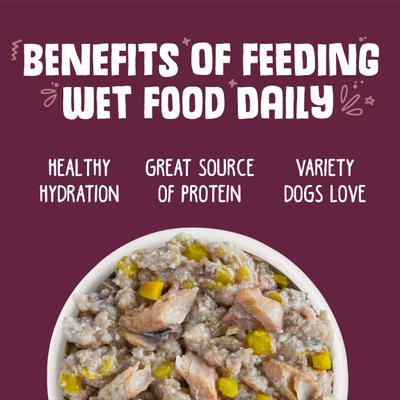 Hot Dayam! with Luscious Lamb in Gelee Grain-Free Canned Dog Food, 14-oz, case of 12