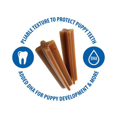 Jumbo Puppy Teething Sticks Peanut Butter Flavor Dog Treats, 7 count