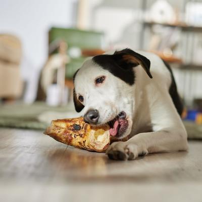 Made in USA Beef Hock Bone Dog Treat, 2 count