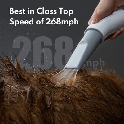 Air Force Dog, Cat & Small Pet Dryer, White