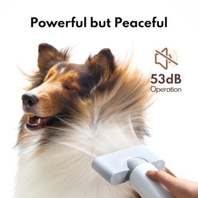 Air Force Dog, Cat & Small Pet Dryer, White