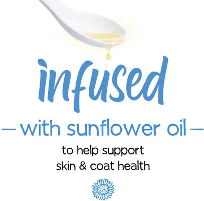 Infused Pate with Real Lamb, Carrots & Spinach Wet Dog Food, 3-oz can, case of 12