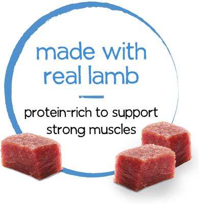 Infused Pate with Real Lamb, Carrots & Spinach Wet Dog Food, 3-oz can, case of 12