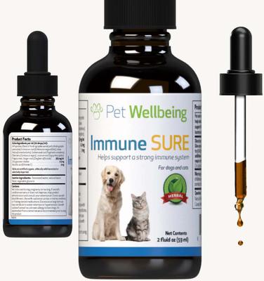 Immune SURE Bacon Flavored Liquid Immune Supplement for Dogs & Cats, 2-oz bottle