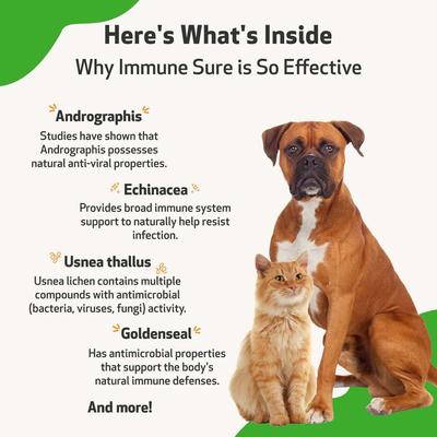 Immune SURE Bacon Flavored Liquid Immune Supplement for Dogs & Cats, 2-oz bottle