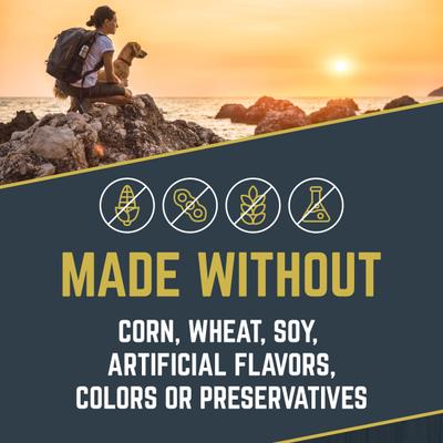 Salmon Flavored Soft Chew Skin & Coat Supplement for Dogs, 10.5-oz jar