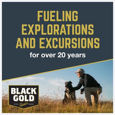 Salmon Flavored Soft Chew Skin & Coat Supplement for Dogs, 10.5-oz jar