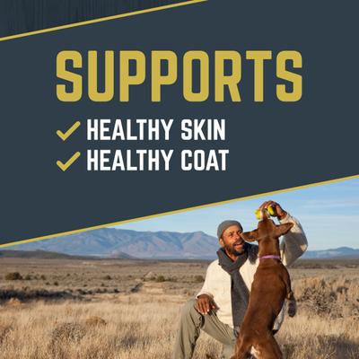 Salmon Flavored Soft Chew Skin & Coat Supplement for Dogs, 10.5-oz jar