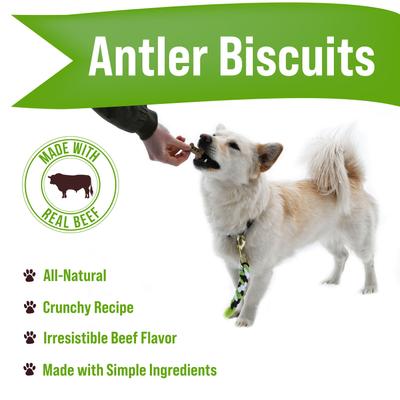 Mini Antler Biscuits Dog Treats, 16-oz bag