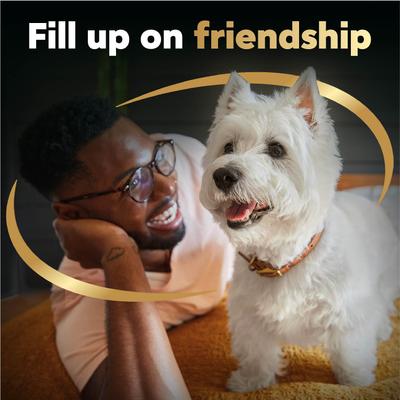 Variety Pack Filet Mignon, Rotisserie Chicken, & Wood-Grilled Chicken Flavor Filets in Gravy Wet Dog Food, 1.76-oz mini-pouch, case of 40