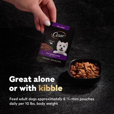 Variety Pack Filet Mignon, Rotisserie Chicken, & Wood-Grilled Chicken Flavor Filets in Gravy Wet Dog Food, 1.76-oz mini-pouch, case of 40