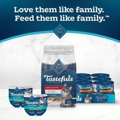 Tastefuls Salmon & Brown Rice Recipe Adult Indoor Dry Cat Food, 7-lb bag