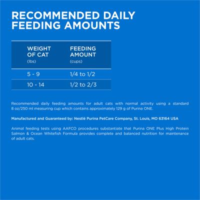 Plus Skin & Coat Health Formula Natural Salmon & Ocean Whitefish High Protein Dry Cat Food, 22-lb bag